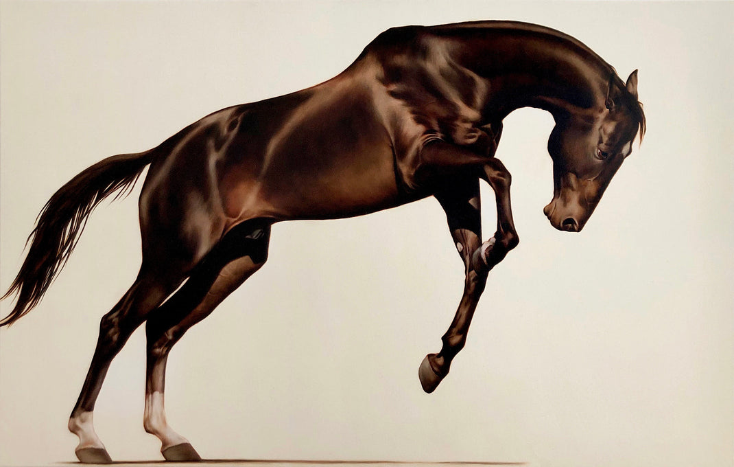 Morvarc’h – The Glasshouse Gallery